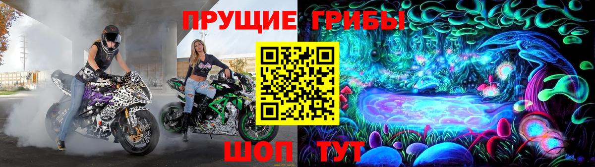 Псилоцибиновые грибы GOLDEN TEACHER  Псилоцибиновые грибы Psilocybe  Тара  Вход с VPN 